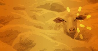 Parable of the Sheep and the Goats